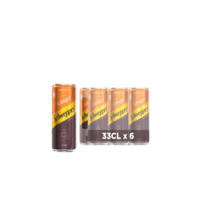 Schweppes Ginger-33cl (x6)